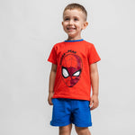 Tenue de Spider-Man