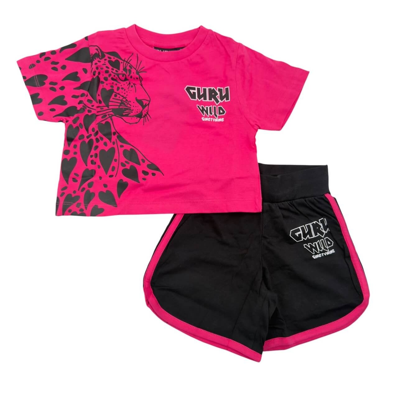 Completo Bimba Guru
