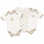 3 Body 100% Cotone Pastello